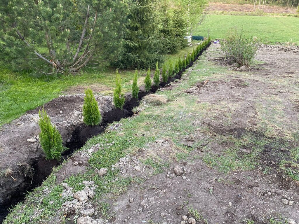 1e786a5f 2fd2 4059 b46e a5543fc5c0e0