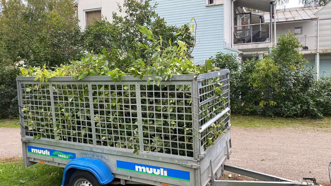 6897ab6e 5564 44dd 82b4 B921bea4659a